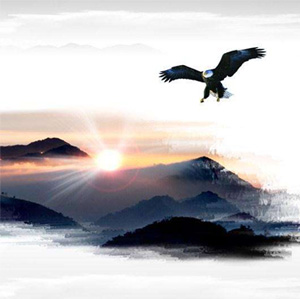 洛陽鼎信高溫科技有限公司